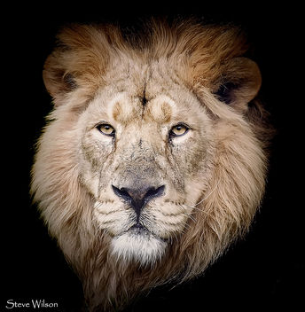Face to Face - Free image #292245